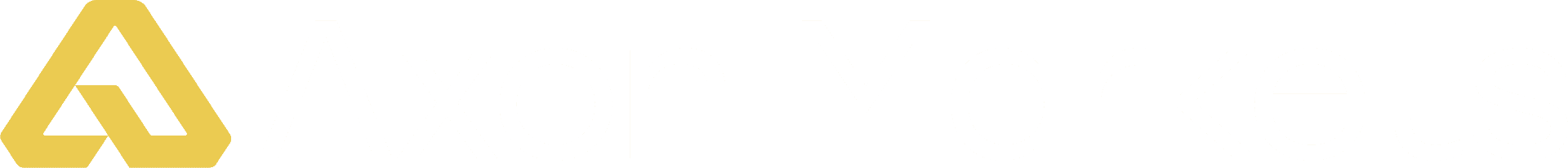 Axon